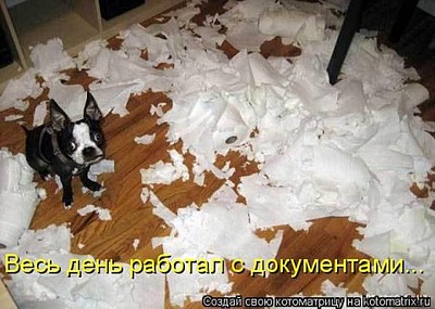 click for enlarge 480 X 342 51.5 Kb picture