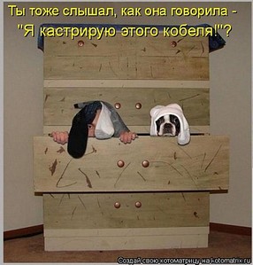click for enlarge 480 X 502 53.6 Kb picture
