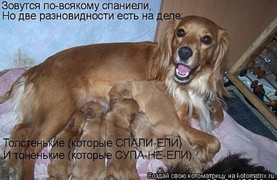 click for enlarge 480 X 312 49.7 Kb picture