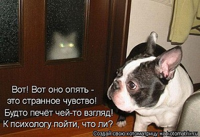 click for enlarge 480 X 330 50.8 Kb picture