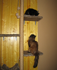 click for enlarge 650 X 800 469.6 Kb picture