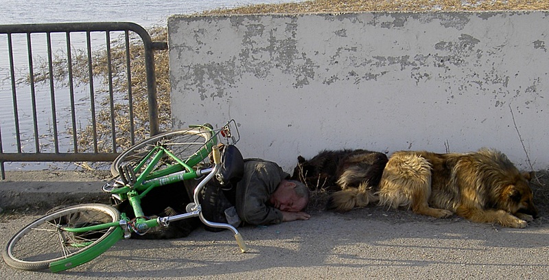 click for enlarge 1649 X 842 505.6 Kb picture