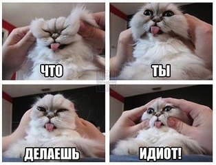 click for enlarge 600 X 458 176.8 Kb picture