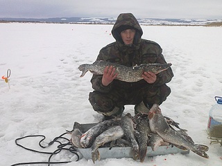 click for enlarge 1920 X 1440 718.5 Kb picture