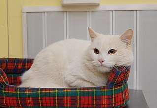 click for enlarge 1280 X 882 165.5 Kb picture