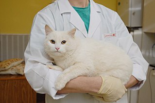 click for enlarge 1280 X 854 108.3 Kb picture