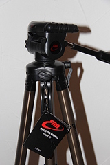 click for enlarge 1920 X 2880 188.5 Kb picture