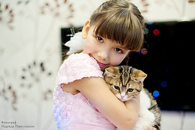 click for enlarge 900 X 599 336.7 Kb picture