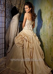 click for enlarge 500 X 700 85.0 Kb picture