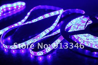 click for enlarge 800 X 533 66.3 Kb picture