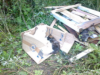 click for enlarge 1920 X 1440 786.8 Kb picture