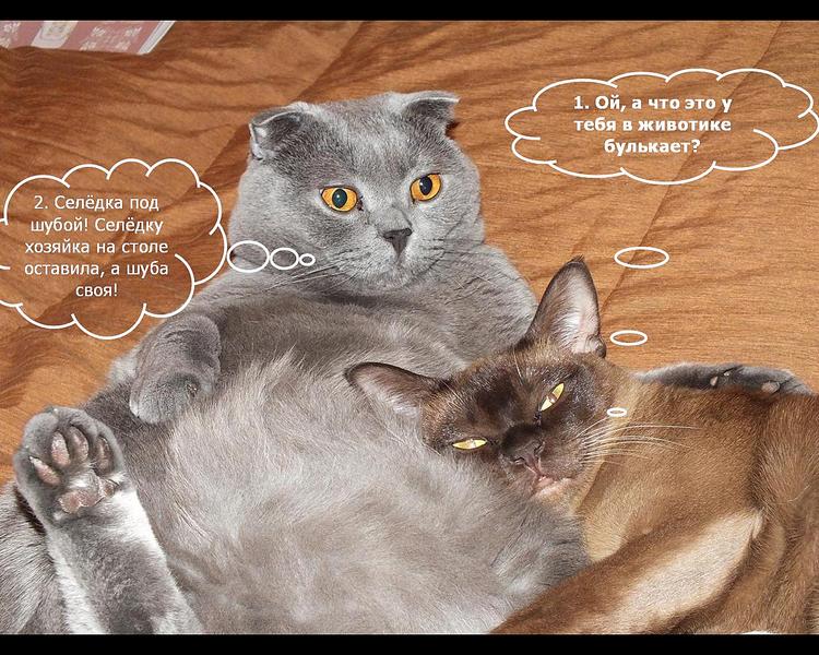 click for enlarge 1280 X 1024 236.4 Kb picture