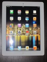 click for enlarge 1200 X 1600 498.1 Kb picture