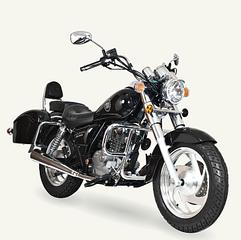 click for enlarge 1600 X 1592 232.3 Kb picture