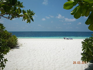 click for enlarge 1920 X 1440 488.4 Kb picture