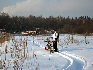 click for enlarge 800 X 600 189.2 Kb picture