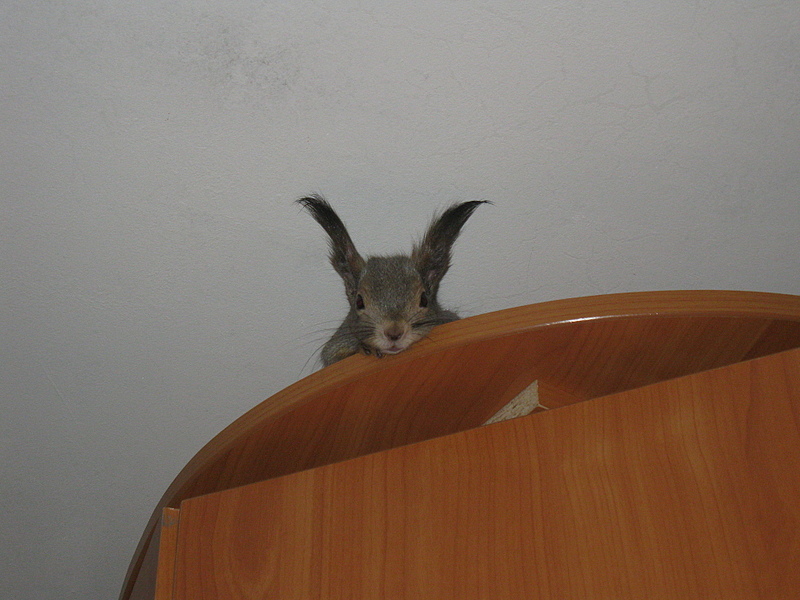 click for enlarge 1920 X 1440 117.8 Kb picture