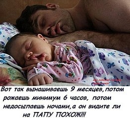 click for enlarge 604 X 552  78.3 Kb picture