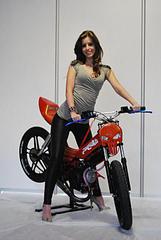 click for enlarge 483 X 720 38.3 Kb picture