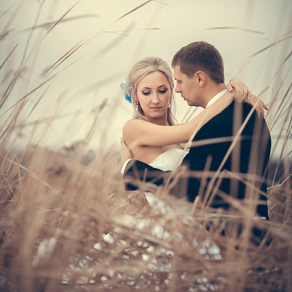 click for enlarge 800 X 800 202.4 Kb picture