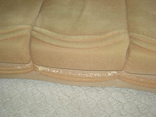 click for enlarge 1920 X 1440 371.3 Kb picture