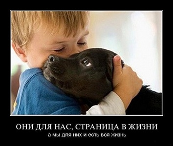 click for enlarge 640 X 541  71.2 Kb picture