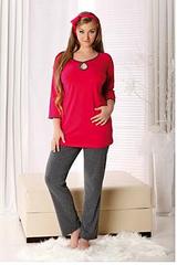 click for enlarge 290 X 435 370.5 Kb picture