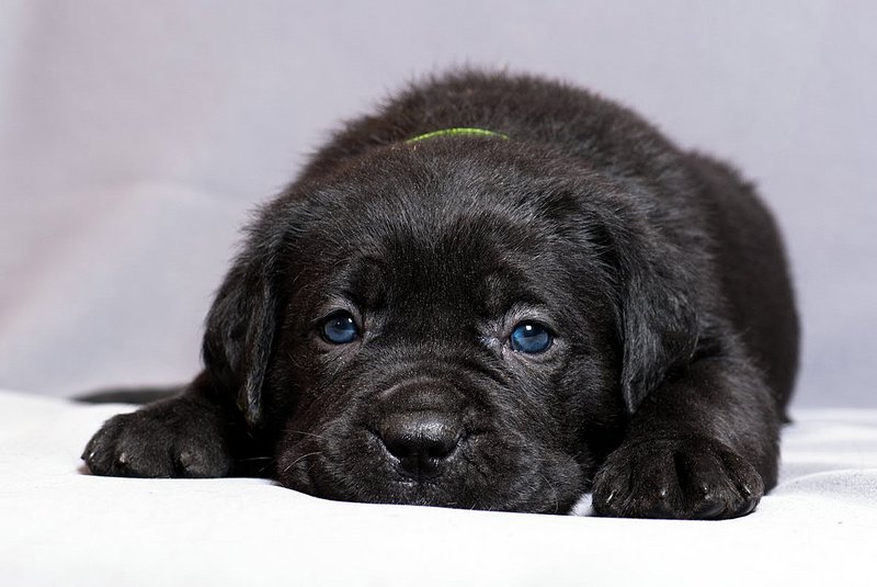 click for enlarge 1181 X 790 116.8 Kb picture