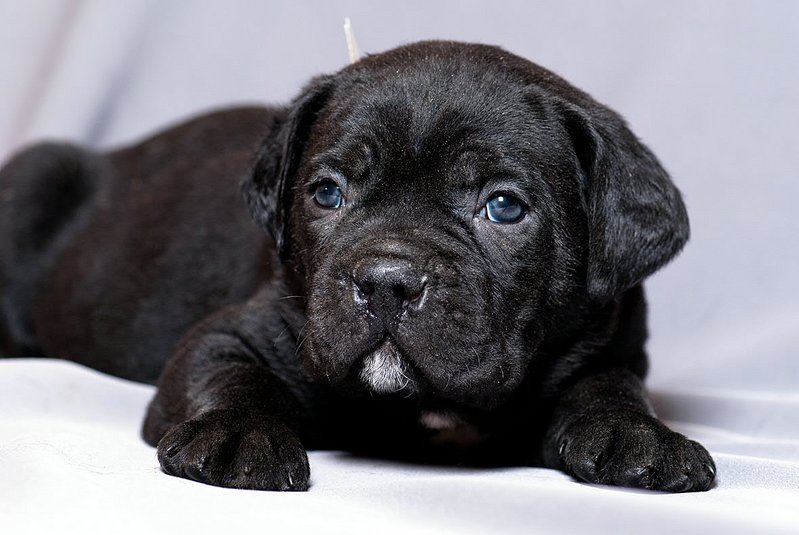 click for enlarge 1181 X 791 128.1 Kb picture