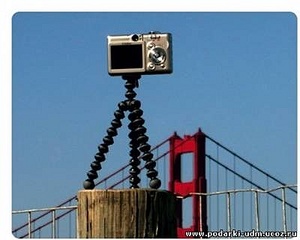 click for enlarge 400 X 320 25.9 Kb picture