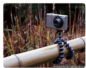 click for enlarge 400 X 320 39.8 Kb picture