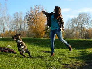 click for enlarge 1920 X 1440 594.6 Kb picture