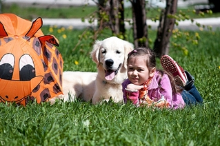 click for enlarge 602 X 400 208.0 Kb picture