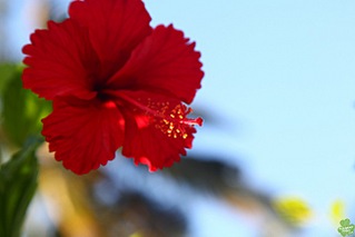 click for enlarge 1280 X 853 103.9 Kb picture