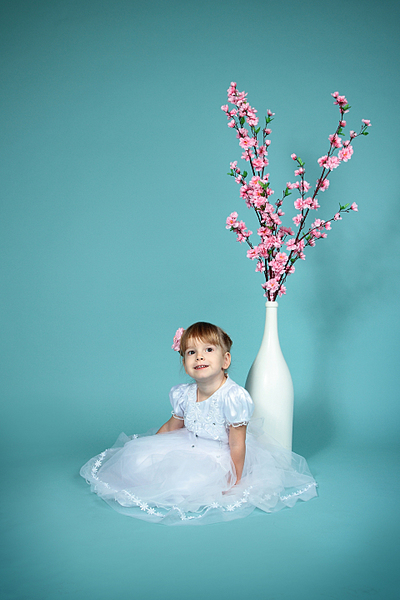 click for enlarge 1920 X 2880 208.4 Kb picture
