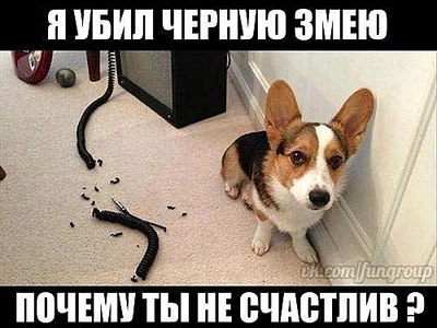 click for enlarge 500 X 375  39.5 Kb picture