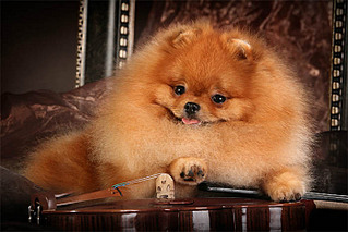 click for enlarge 700 X 467  70.6 Kb picture