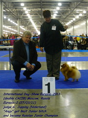 click for enlarge 691 X 921 162.1 Kb picture