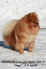 click for enlarge 854 X 1281 214.7 Kb picture