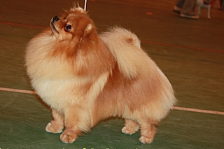 click for enlarge 1281 X 854 719.9 Kb picture