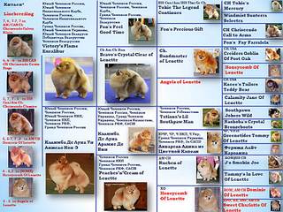 click for enlarge 960 X 720 148.6 Kb picture