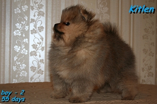 click for enlarge 1036 X 691 515.1 Kb picture