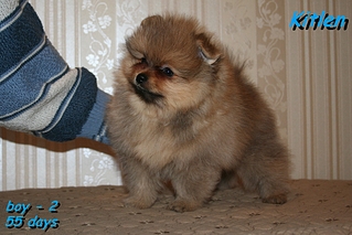 click for enlarge 1036 X 691 551.8 Kb picture