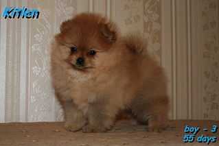 click for enlarge 1036 X 691 496.9 Kb picture