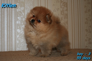 click for enlarge 1036 X 691 505.5 Kb picture