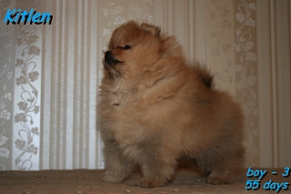 click for enlarge 1036 X 691 486.4 Kb picture