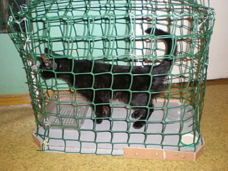 click for enlarge 384 X 288 153.4 Kb picture