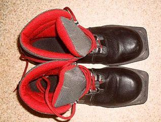 click for enlarge 444 X 336  60.9 Kb picture