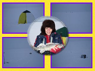 click for enlarge 1024 X 768 81.7 Kb picture