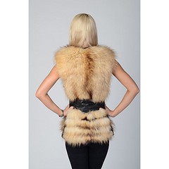 click for enlarge 750 X 750  56.3 Kb picture